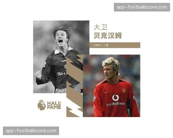 英超名人堂公布本年度候选名单