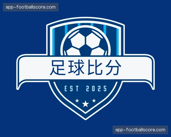 介绍足球比分